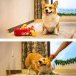 Peluş Kemik Çantası Oyuncak - Görsel 5