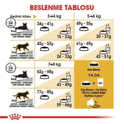 royal-canin-british-shorthair-irkina-ozel-kedi-mamasi-2-kg-kedi-kuru-mamalari-royal-canin-45817-11-B-1.jpg Royal Canin British Shorthair Irk Kedi Maması 2 Kg - Görsel 3