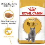 Royal Canin British Shorthair Irk Kedi Maması 2 Kg - Görsel 4