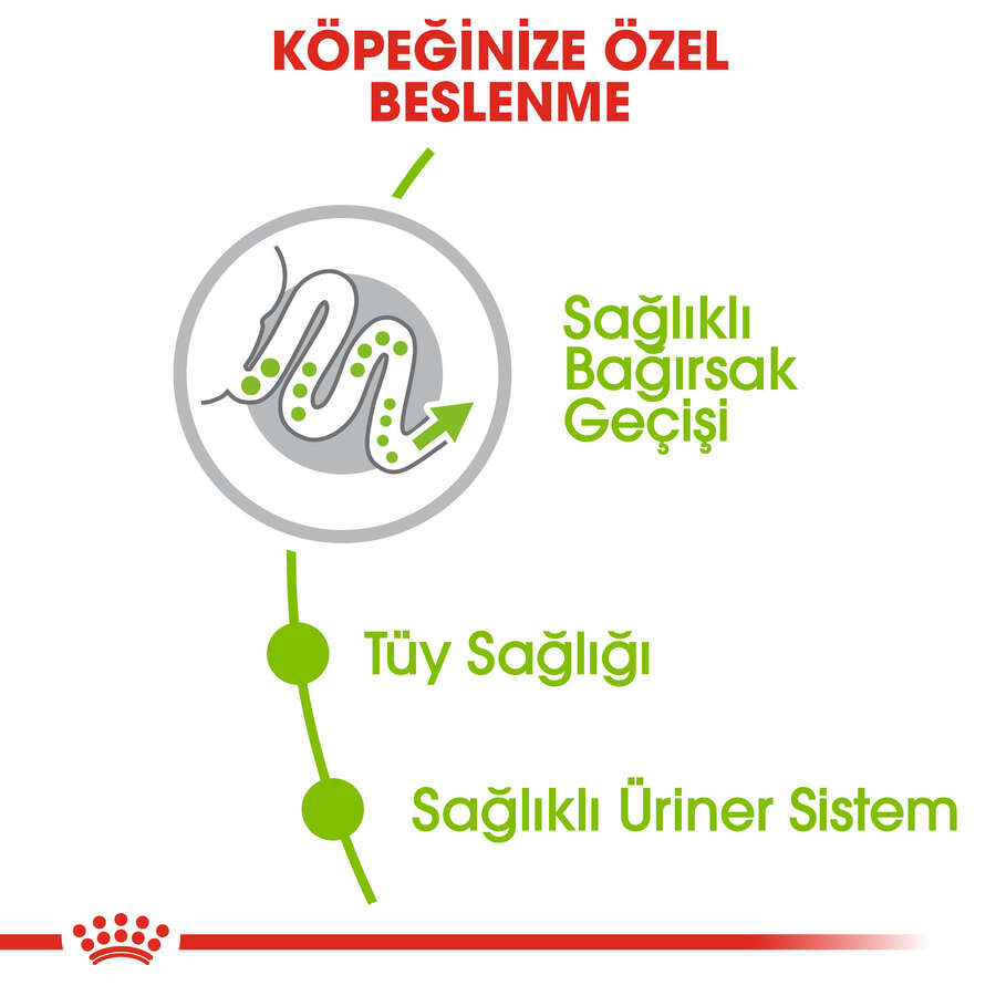 royal-canin-x-small-kucuk-irk-kopek-mamasi-1-5-kg-kopek-kuru-mamalari-royal-canin-47283-23-B.jpg Royal Canin X-Small Küçük Irk Köpek Maması 1,5 Kg - Görsel 2