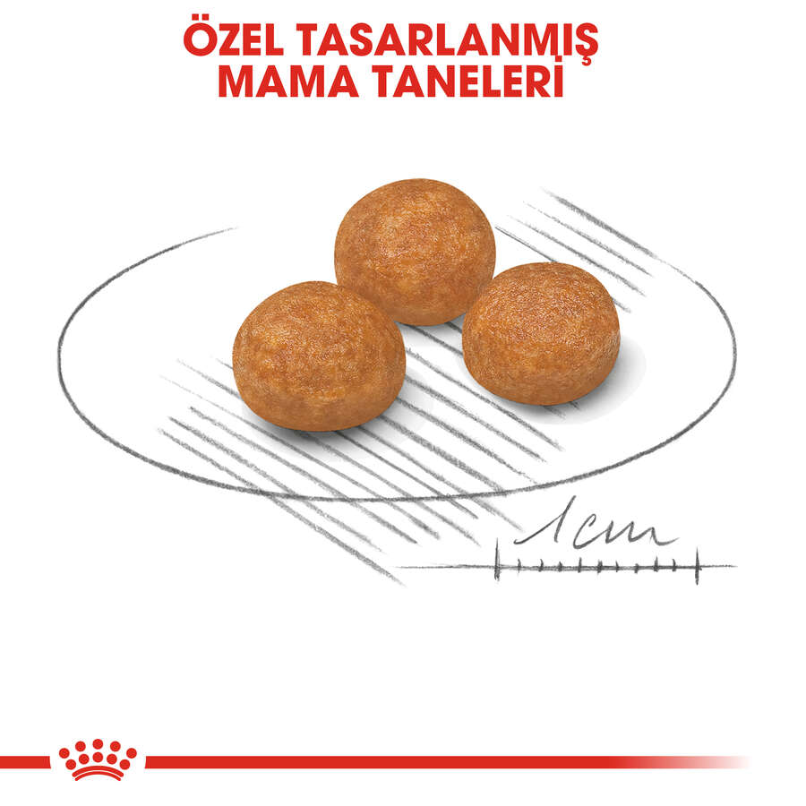 royal-canin-x-small-kucuk-irk-kopek-mamasi-1-5-kg-kopek-kuru-mamalari-royal-canin-47284-23-B.jpg Royal Canin X-Small Küçük Irk Köpek Maması 1,5 Kg - Görsel 3