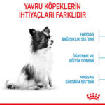 Royal Canin X-Small Puppy Küçük Irk Yavru Köpek Maması 1,5 Kg - Görsel 2