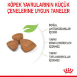 Royal Canin X-Small Puppy Küçük Irk Yavru Köpek Maması 1,5 Kg - Görsel 4