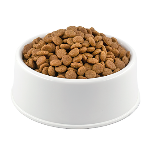 Purina Pro Plan Açık Yavru Kedi Maması 1kg